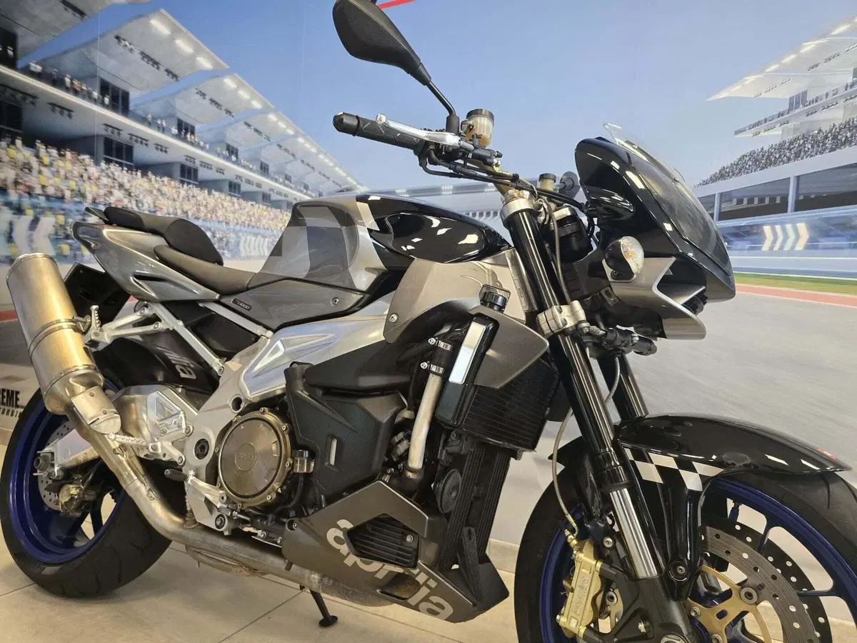 Aprilia Tuono 1000 R (2006 - 10) (14)