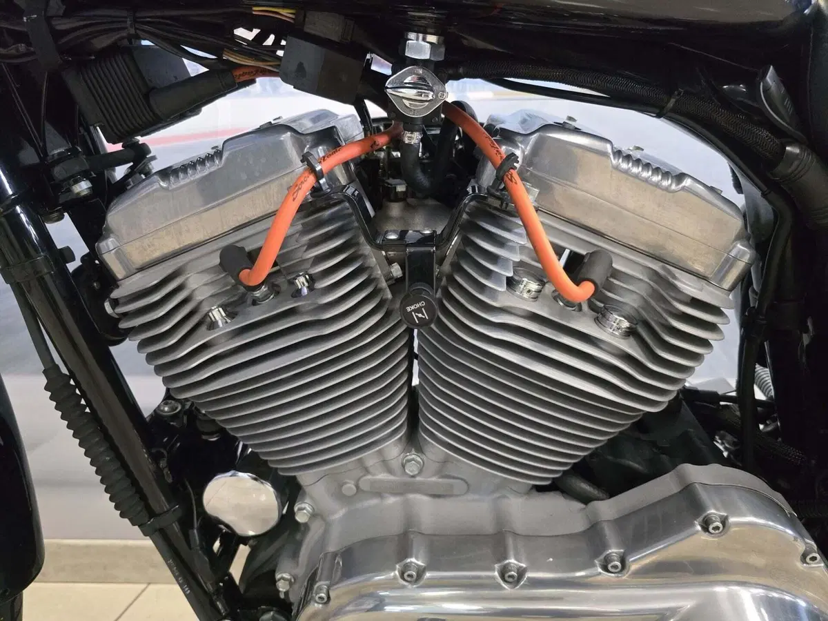Harley-Davidson 883 Standard (2001 - 05) - XL 883 (11)