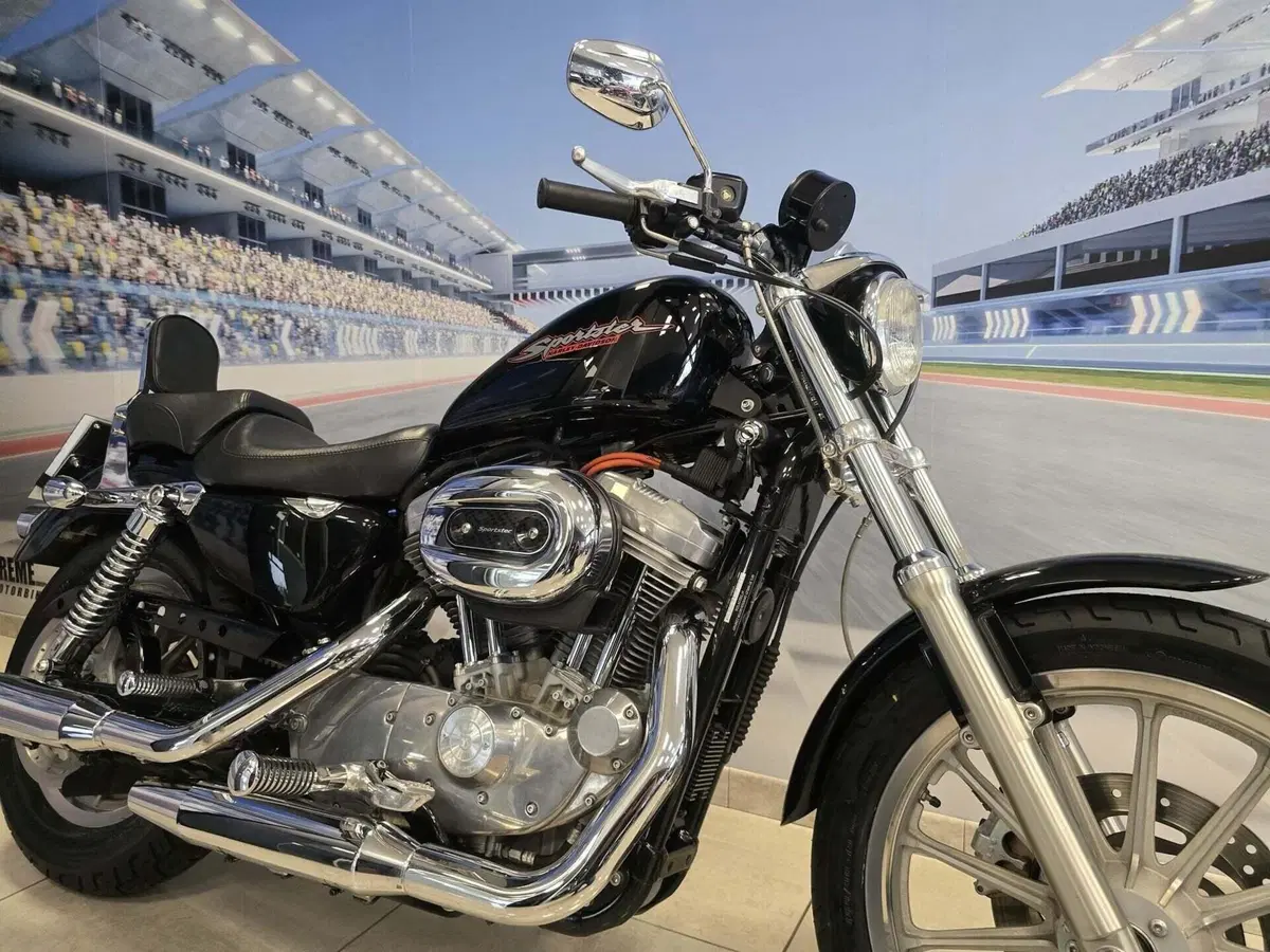 Harley-Davidson 883 Standard (2001 - 05) - XL 883 (16)