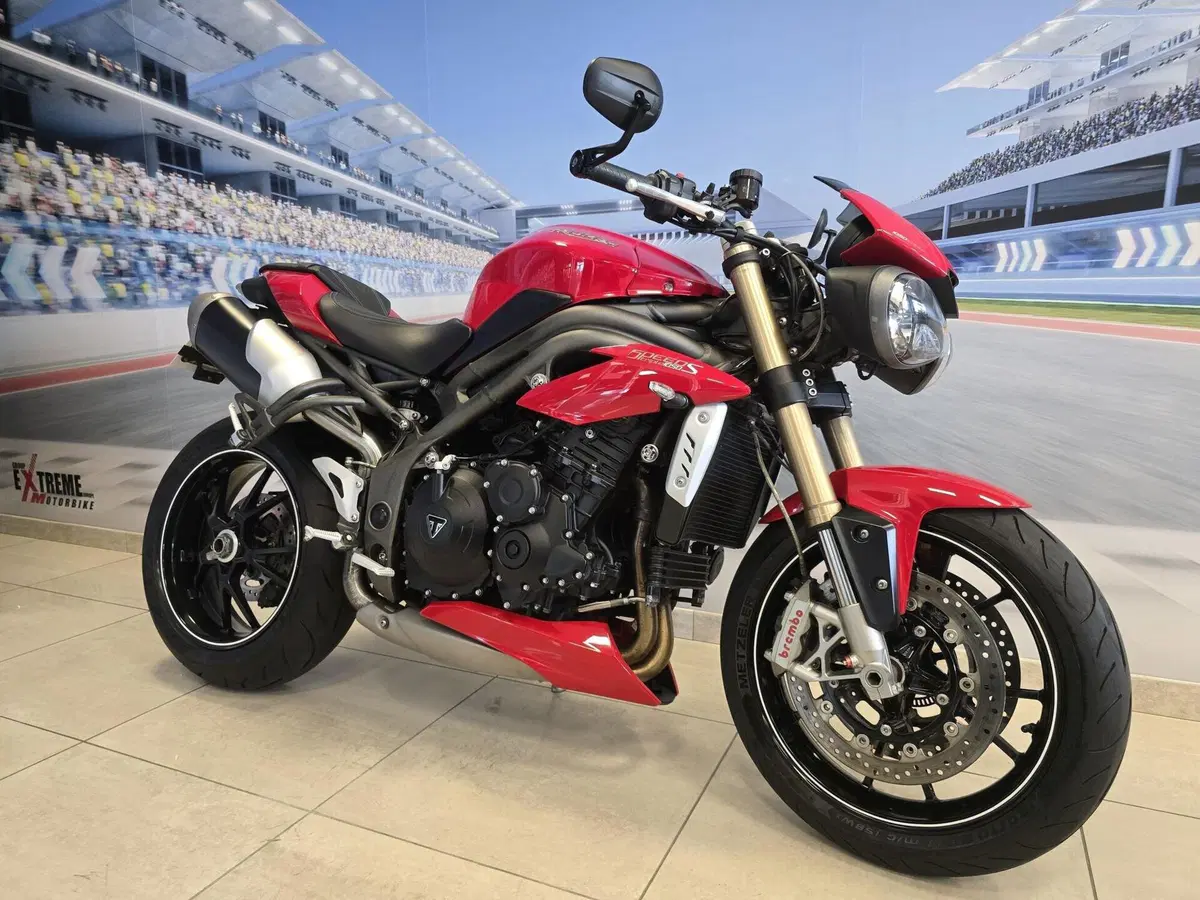 Triumph Speed Triple 1050 S ABS (2016 - 17) (2)