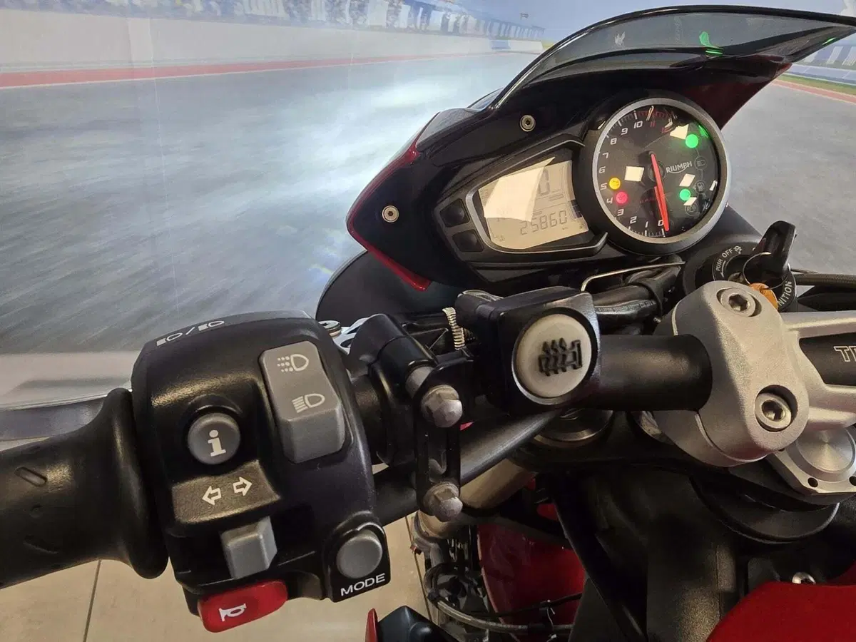 Triumph Speed Triple 1050 S ABS (2016 - 17) (20)