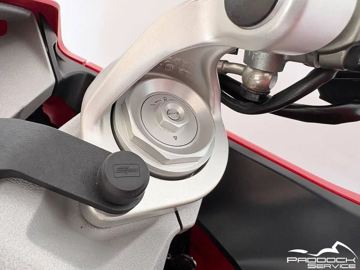 Ducati SuperSport 939 (2017 - 20) (16)