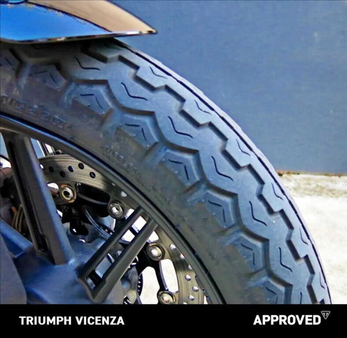 Triumph Speed Twin 900 (2025 - 26) (6)