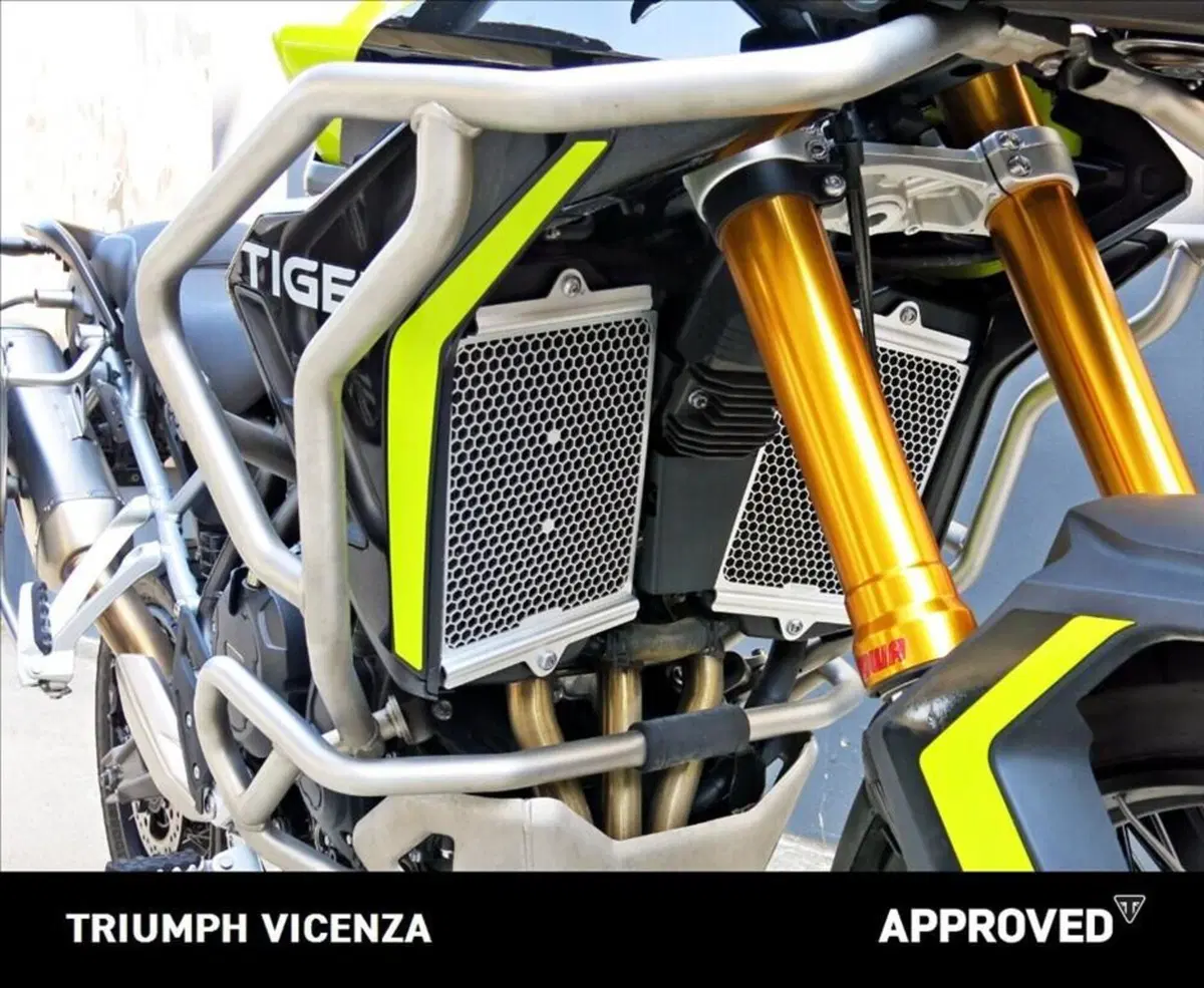 Triumph Tiger 900 Rally Pro (2024 - 26) (4)