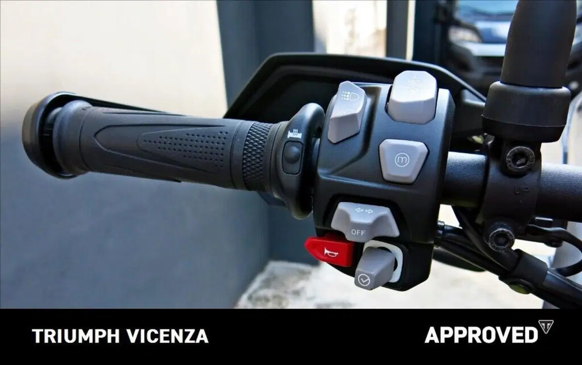 Triumph Tiger 900 Rally Pro (2024 - 26) (8)