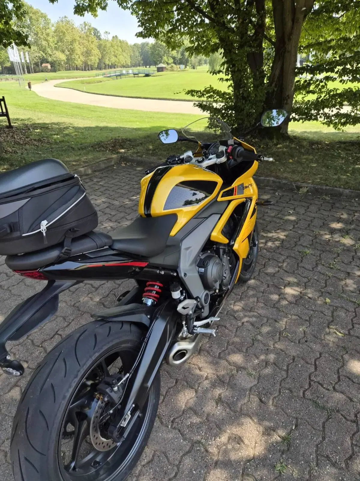 Triumph Daytona 660 (2024 - 26) (4)