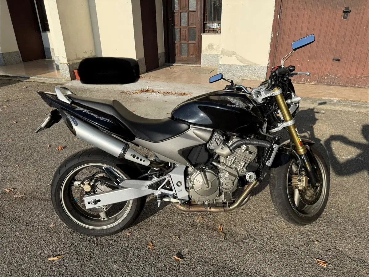 Honda Hornet 600 (2005 - 06)