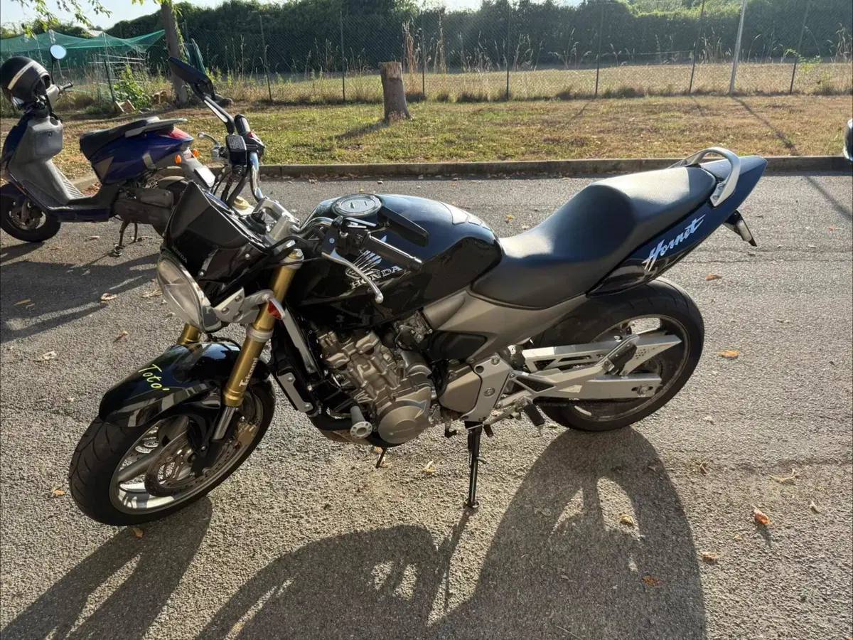 Honda Hornet 600 (2005 - 06) (3)