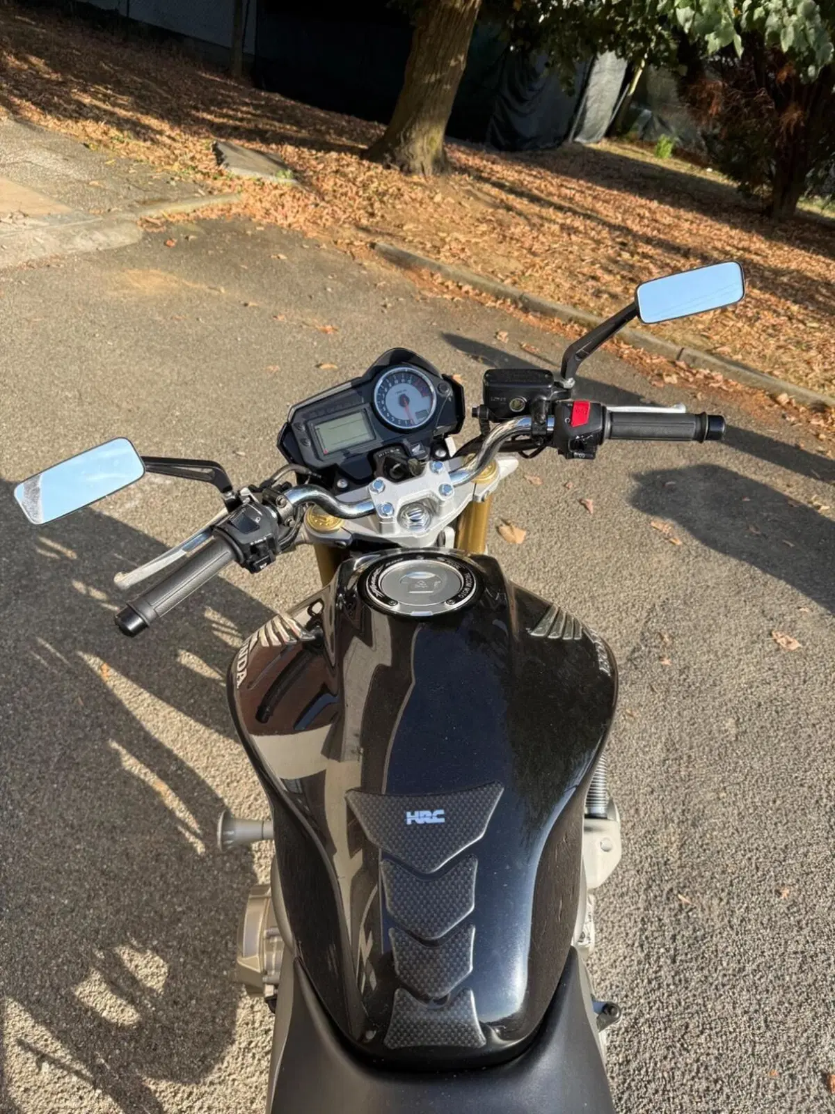 Honda Hornet 600 (2005 - 06) (4)
