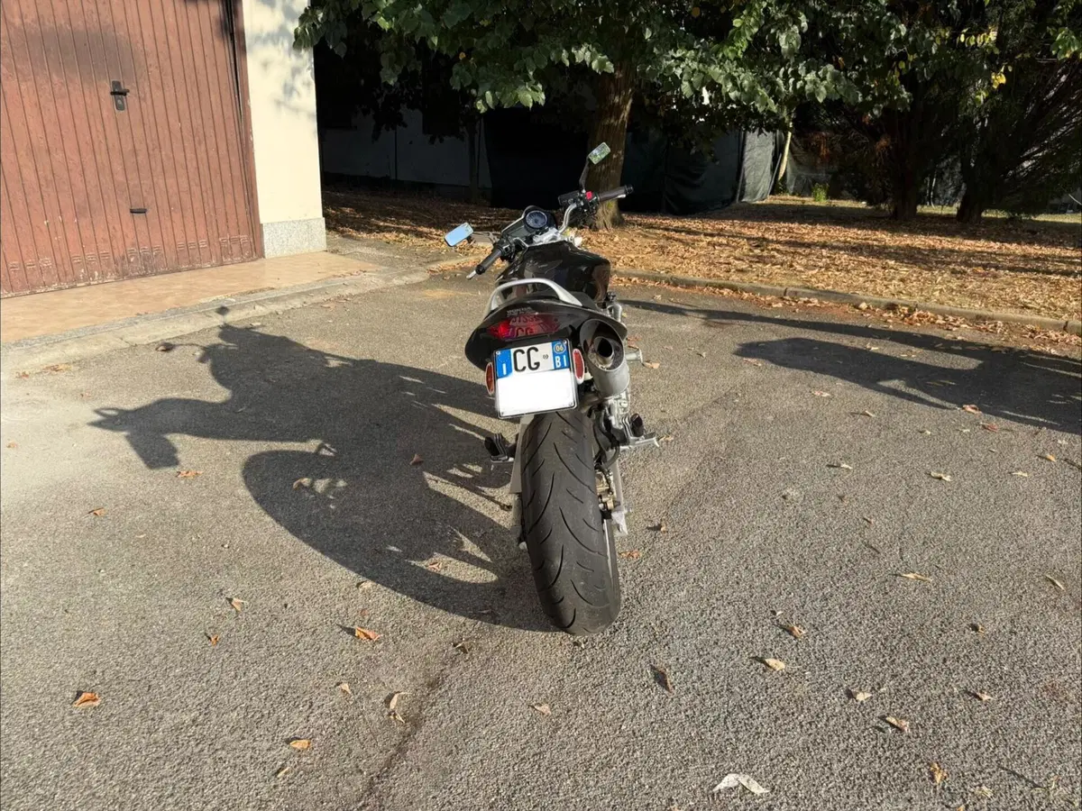 Honda Hornet 600 (2005 - 06) (5)