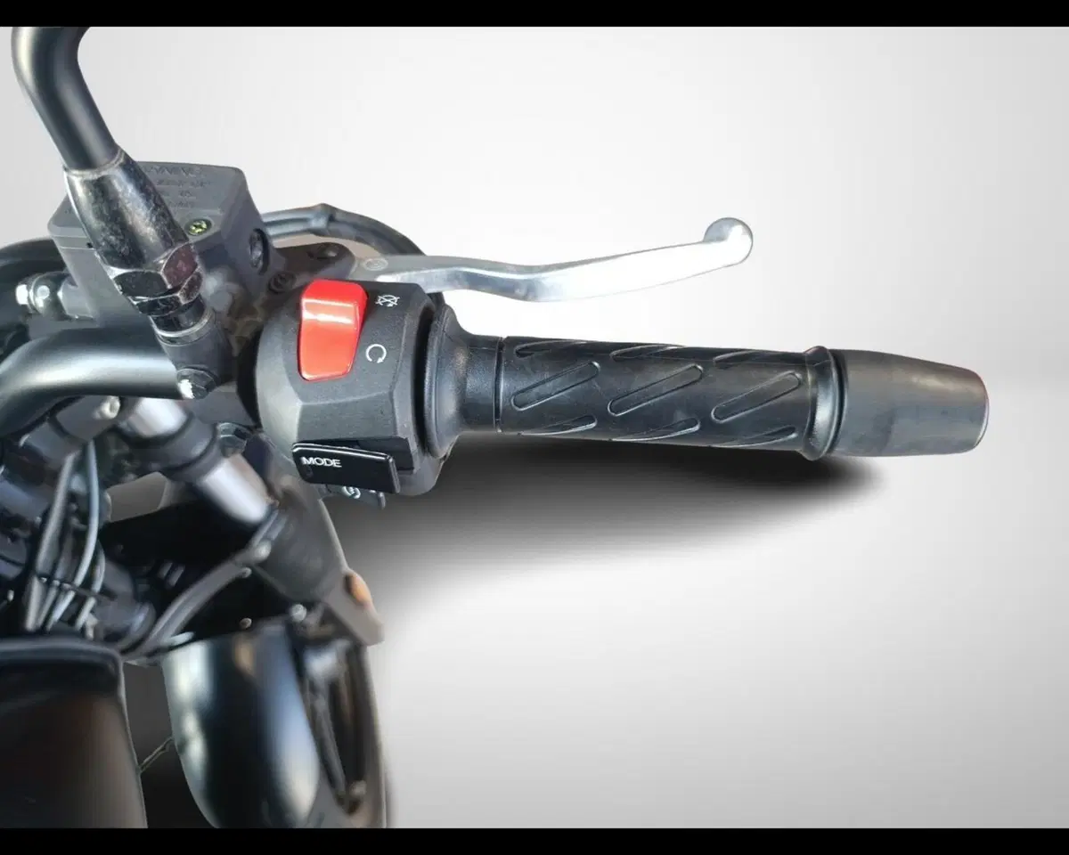 Moto Guzzi V7 Stone (2021 - 24) (11)
