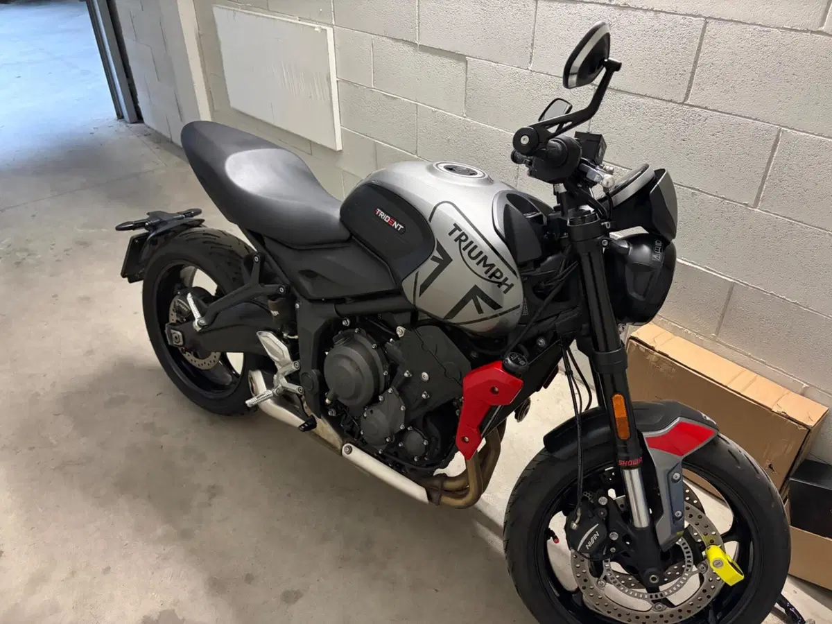 Triumph Trident 660 (2021 - 24) (7)