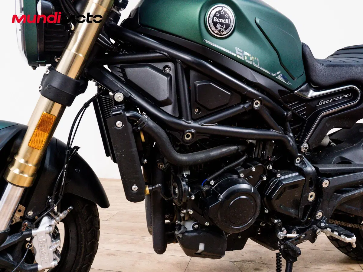 Benelli Leoncino 800 (2022 - 26) (10)