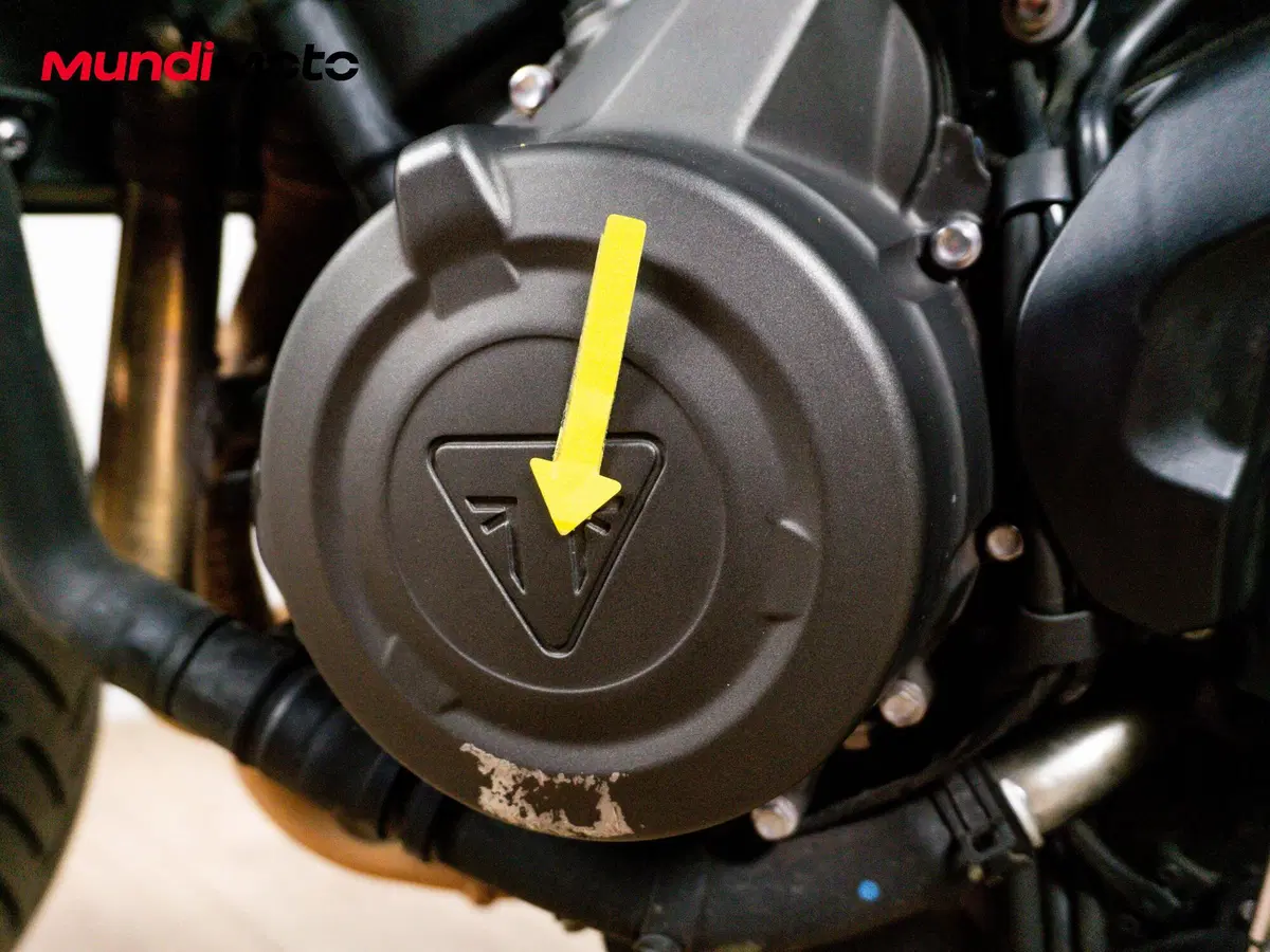 Triumph Trident 660 (2021 - 24) (12)