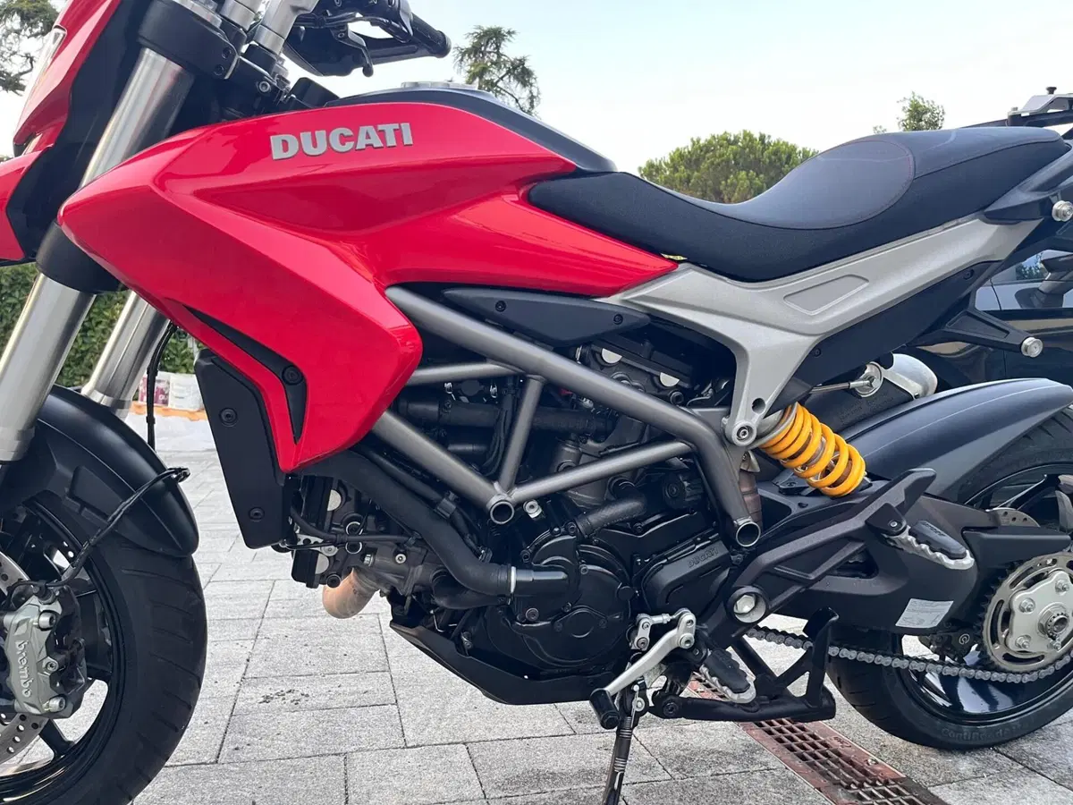 Ducati Hyperstrada 821 (2013 - 15) (8)