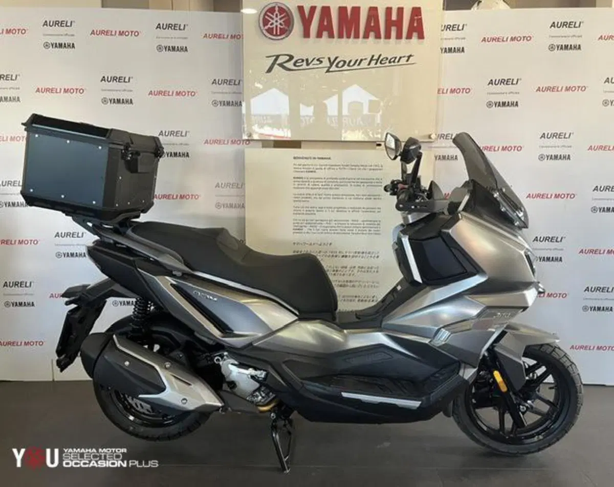 Sym ADX 300 (2024 - 26) (4)