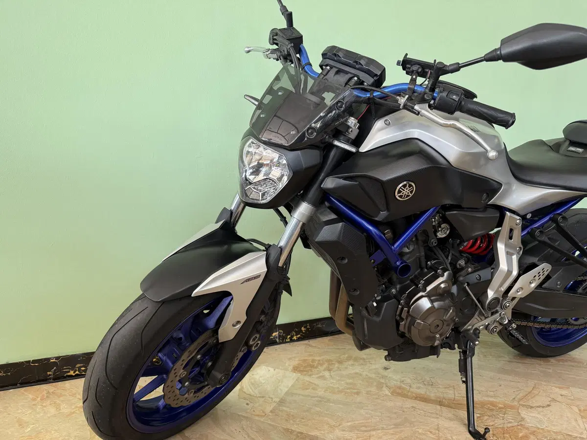 Yamaha MT-07 ABS (2014 - 16) (6)