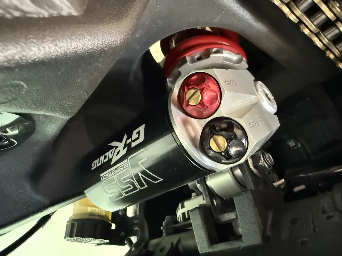 Kawasaki Ninja 1000 ZX-10R (2008 - 09) (10)