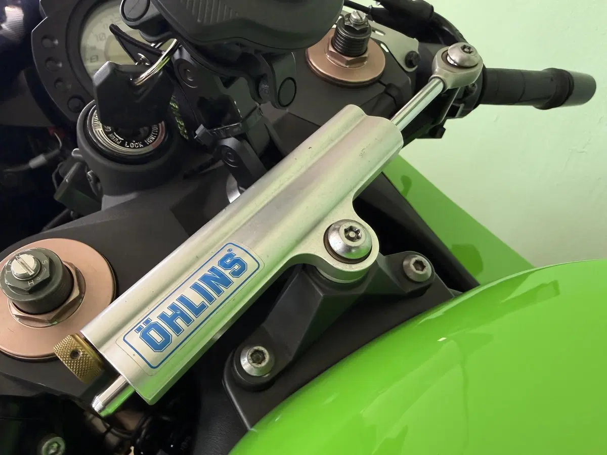 Kawasaki Ninja 1000 ZX-10R (2008 - 09) (11)