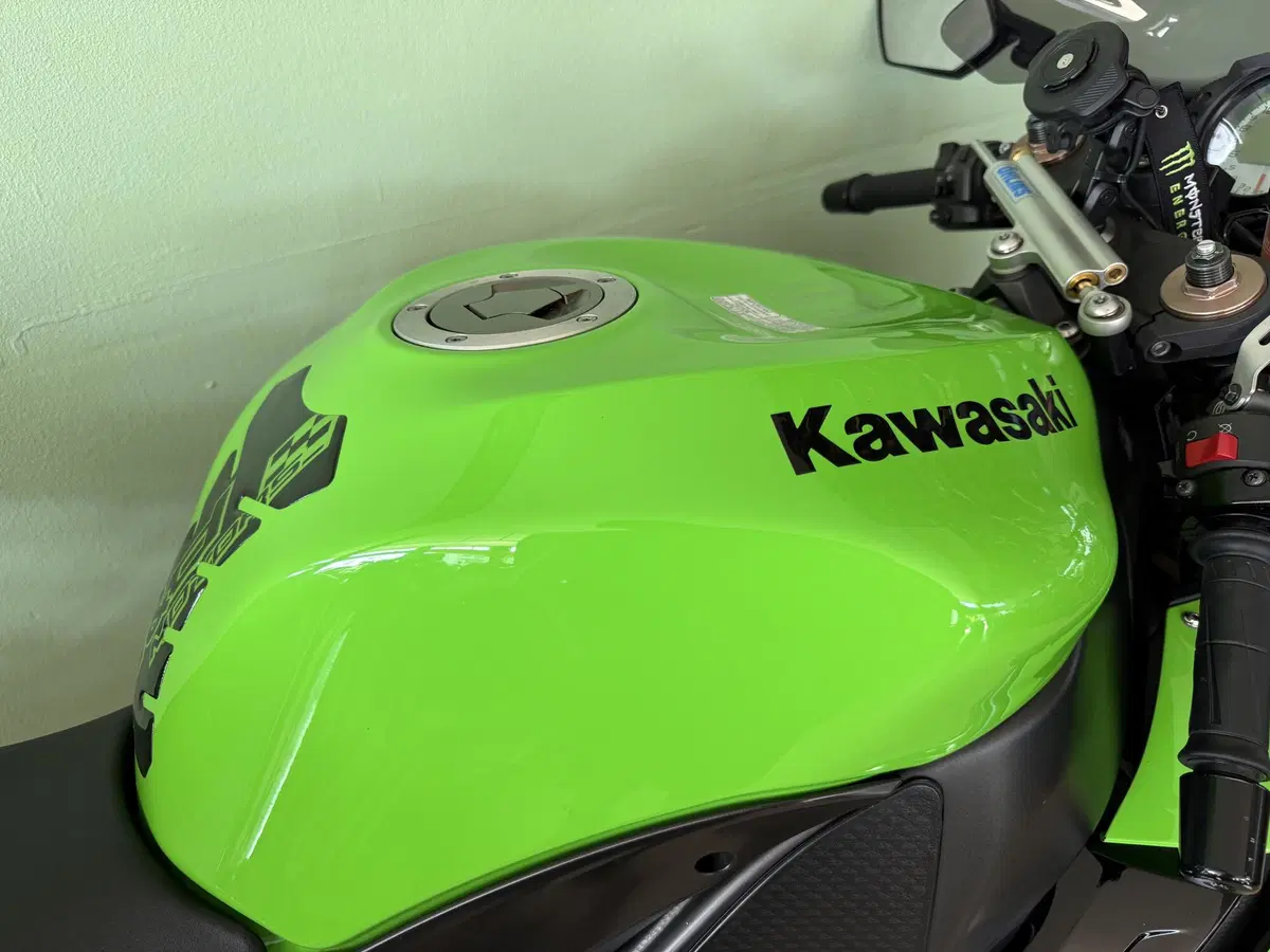 Kawasaki Ninja 1000 ZX-10R (2008 - 09) (17)