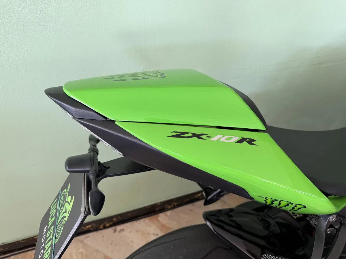 Kawasaki Ninja 1000 ZX-10R (2008 - 09) (18)