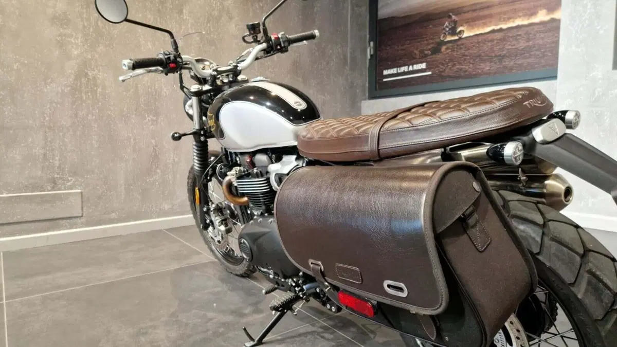 Triumph Scrambler 900 Icon Edition (2025 - 26) (3)