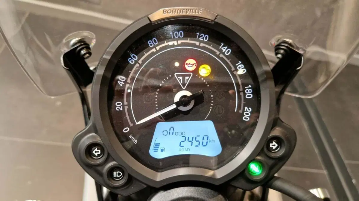 Triumph Scrambler 900 Icon Edition (2025 - 26) (8)