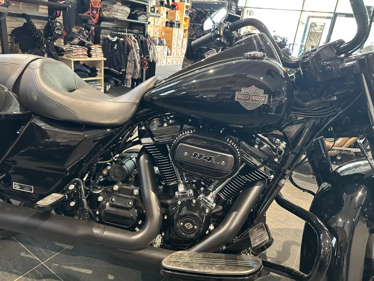 Harley-Davidson Road King Special (2021 - 25) (10)