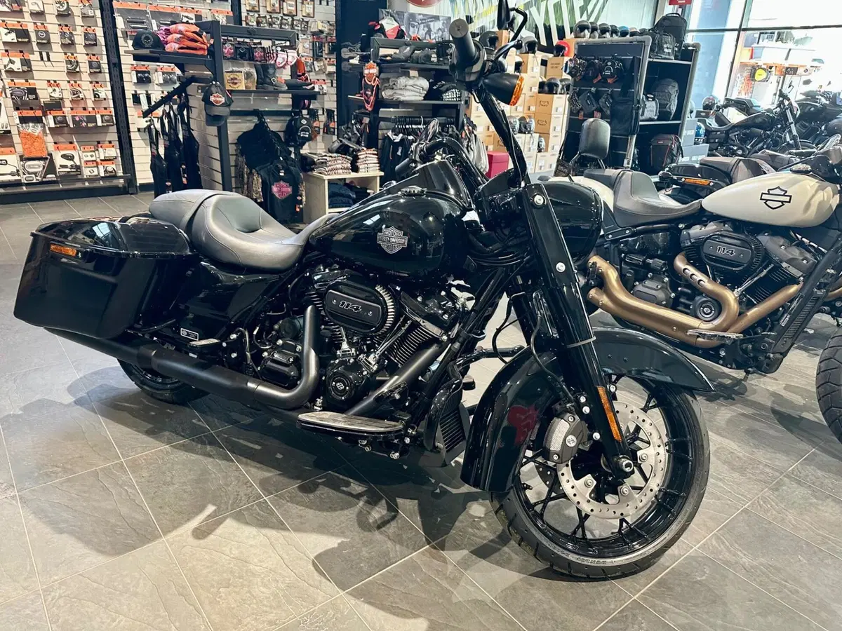 Harley-Davidson Road King Special (2021 - 25) (12)