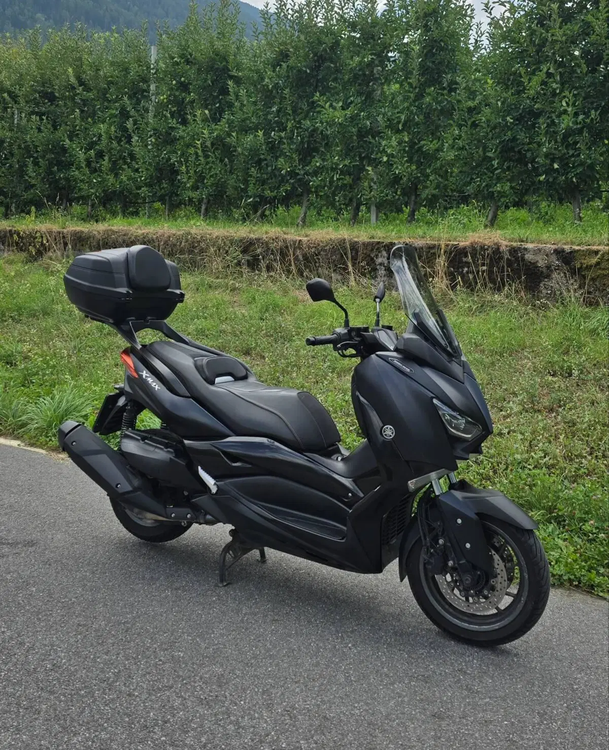 Yamaha X-Max 400 Iron Max (2019 - 20)