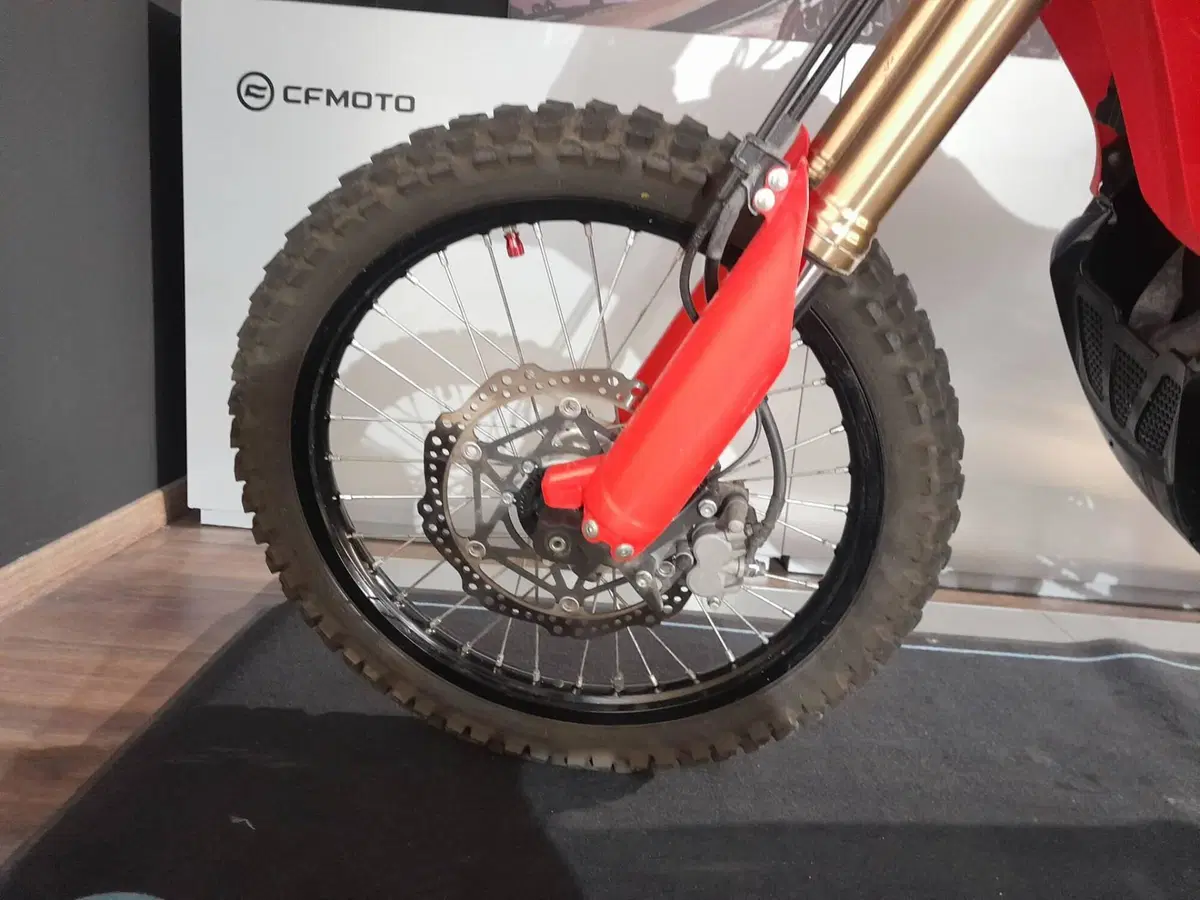 Honda CRF 300 Rally (2021 - 24) (4)