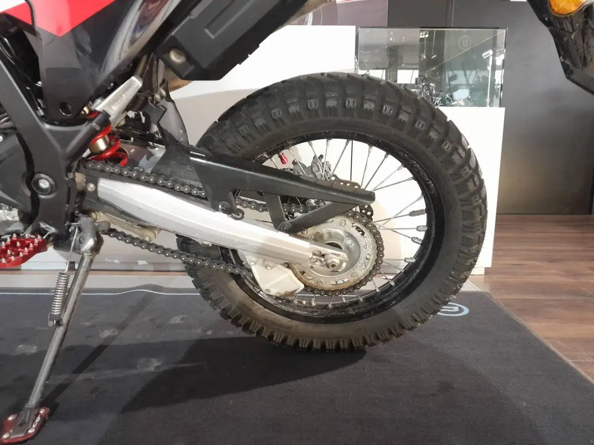 Honda CRF 300 Rally (2021 - 24) (5)
