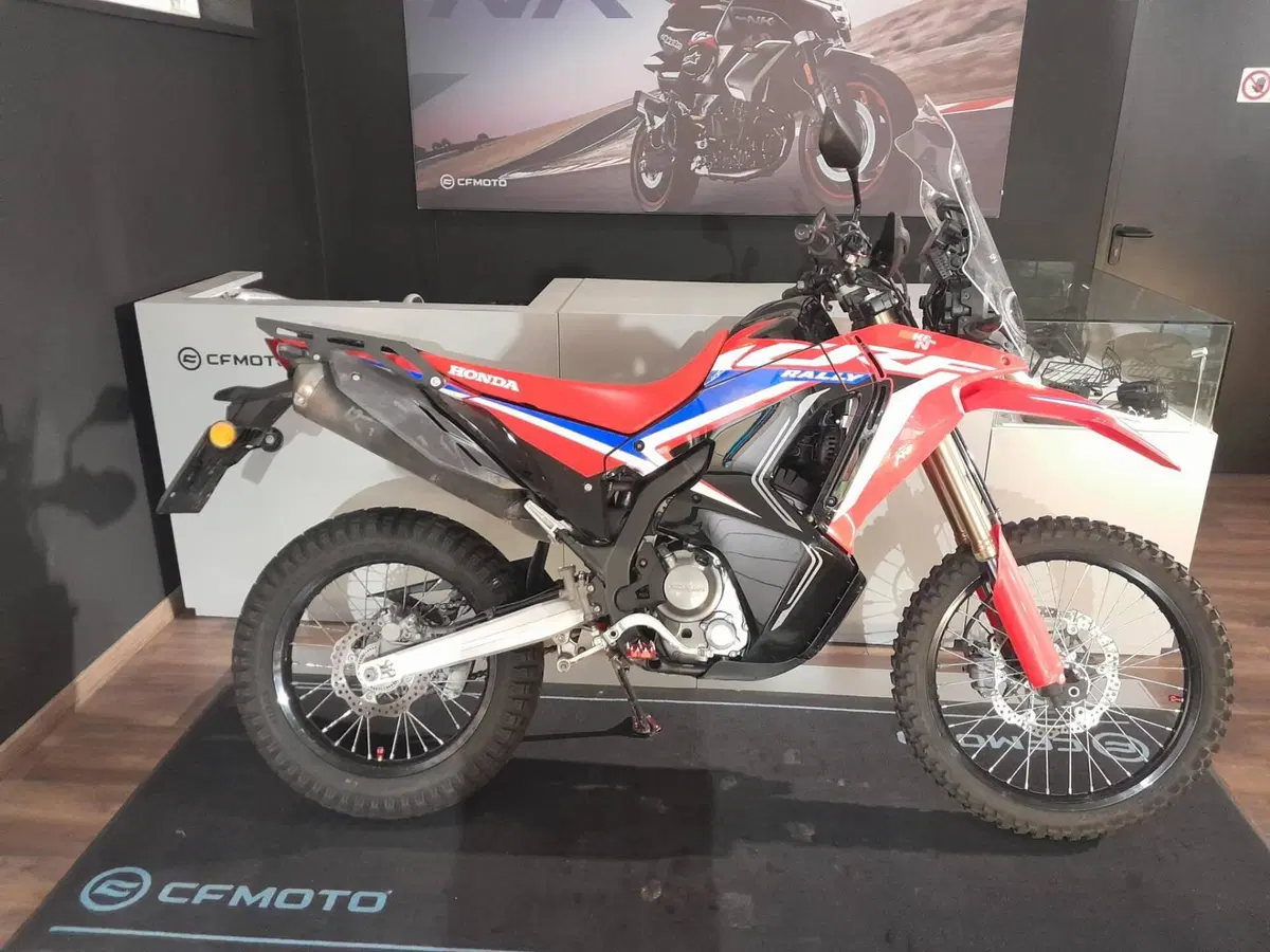 Honda CRF 300 Rally (2021 - 24) (7)