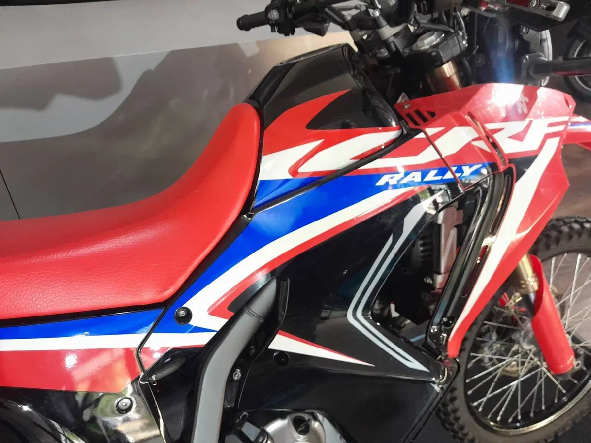 Honda CRF 300 Rally (2021 - 24) (11)