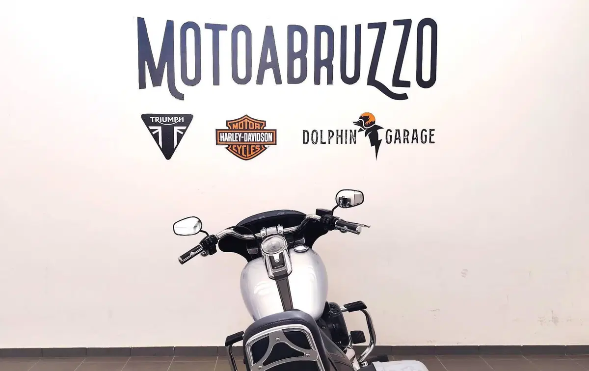 Harley-Davidson Sport Glide (2021 - 25) (12)
