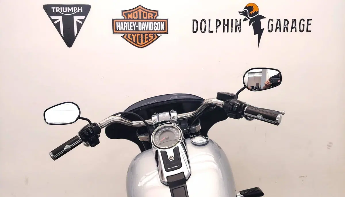 Harley-Davidson Sport Glide (2021 - 25) (13)