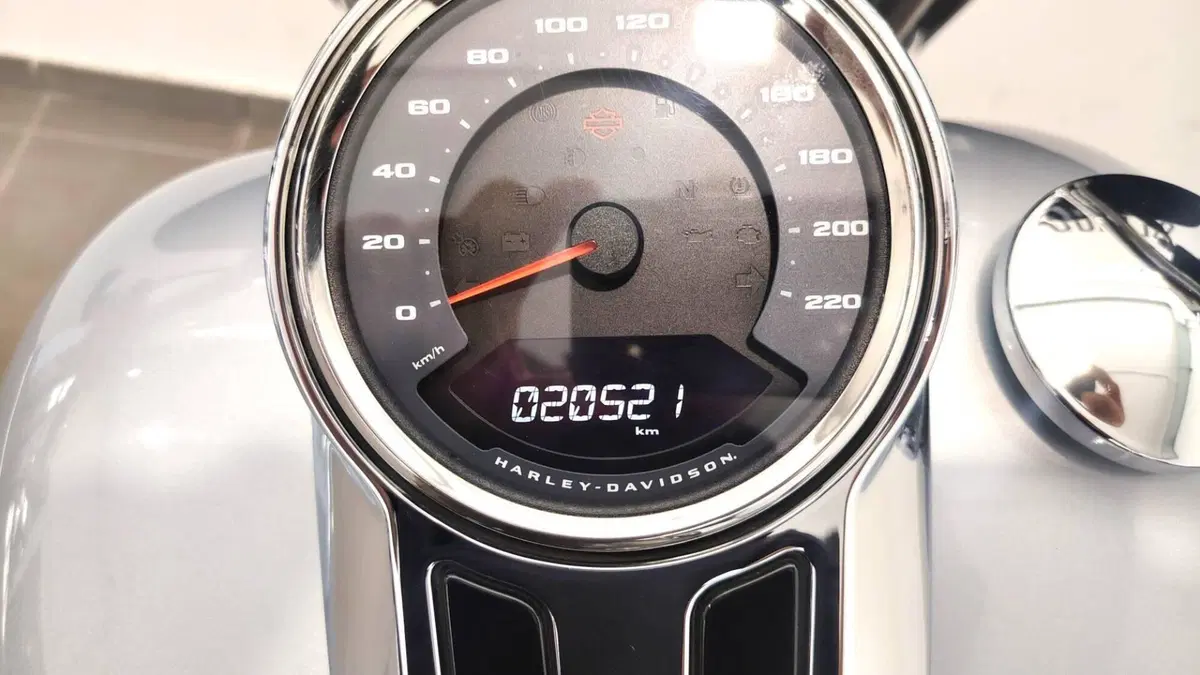 Harley-Davidson Sport Glide (2021 - 25) (14)