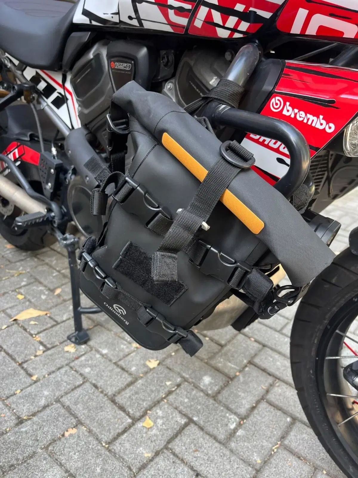 Harley-Davidson Pan America 1250 Special (2020 - 25) (11)