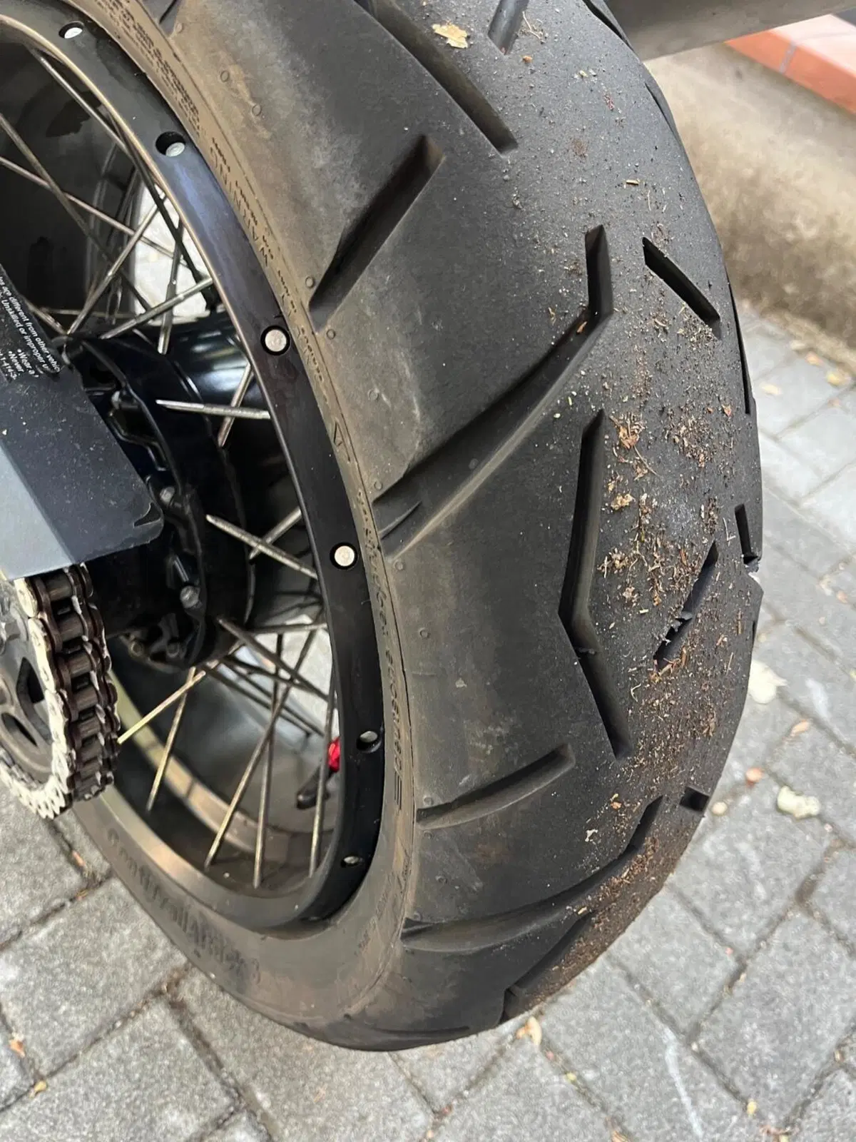 Harley-Davidson Pan America 1250 Special (2020 - 25) (13)