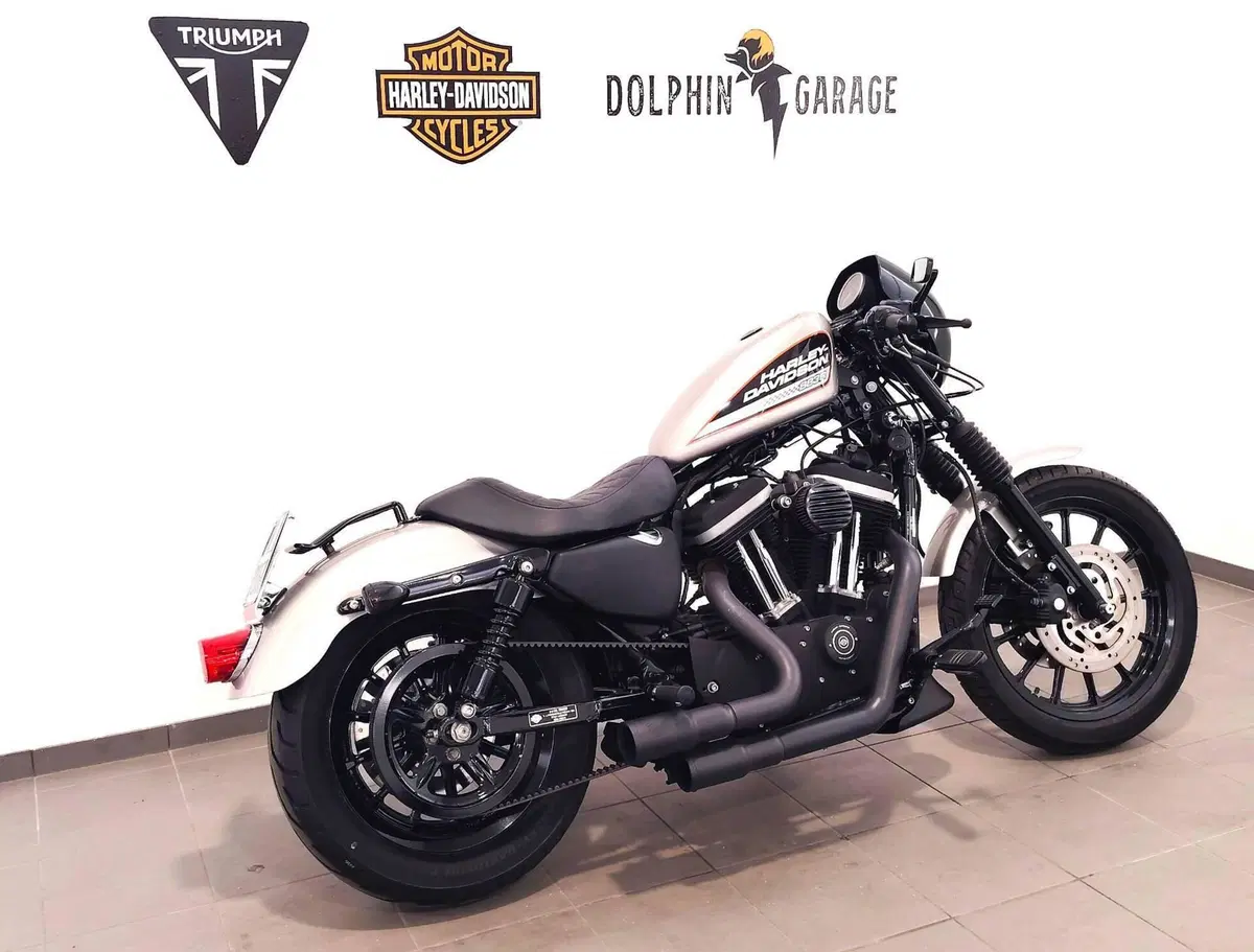 Harley-Davidson 883 R (2006 - 07) - XL 883R (3)