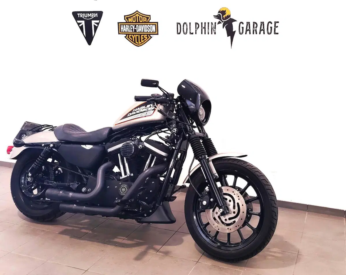 Harley-Davidson 883 R (2006 - 07) - XL 883R (4)