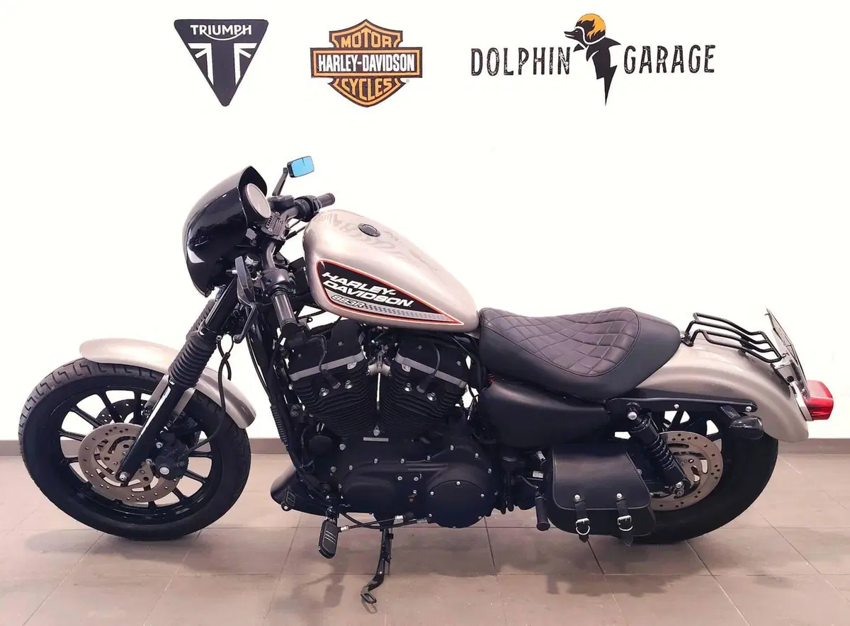 Harley-Davidson 883 R (2006 - 07) - XL 883R (8)