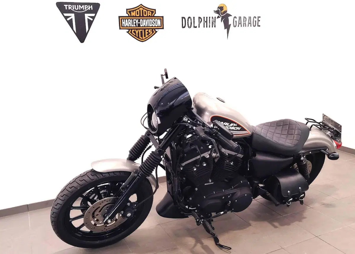Harley-Davidson 883 R (2006 - 07) - XL 883R (9)