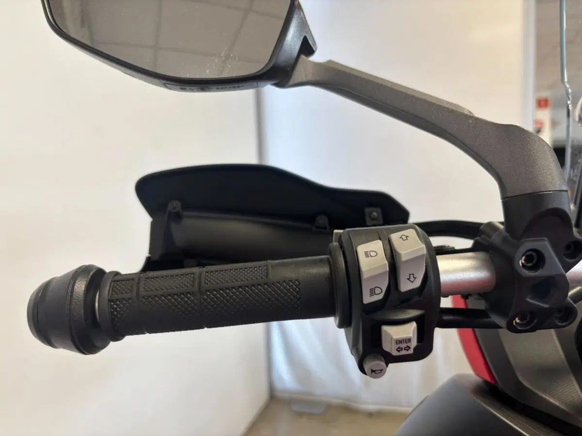 Ducati Multistrada 950 (2018) (11)