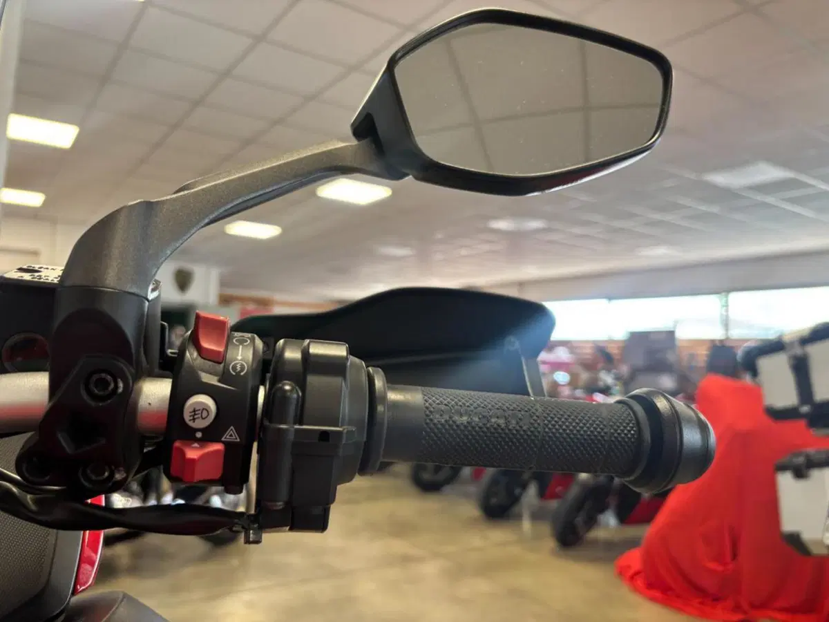 Ducati Multistrada 950 (2018) (12)