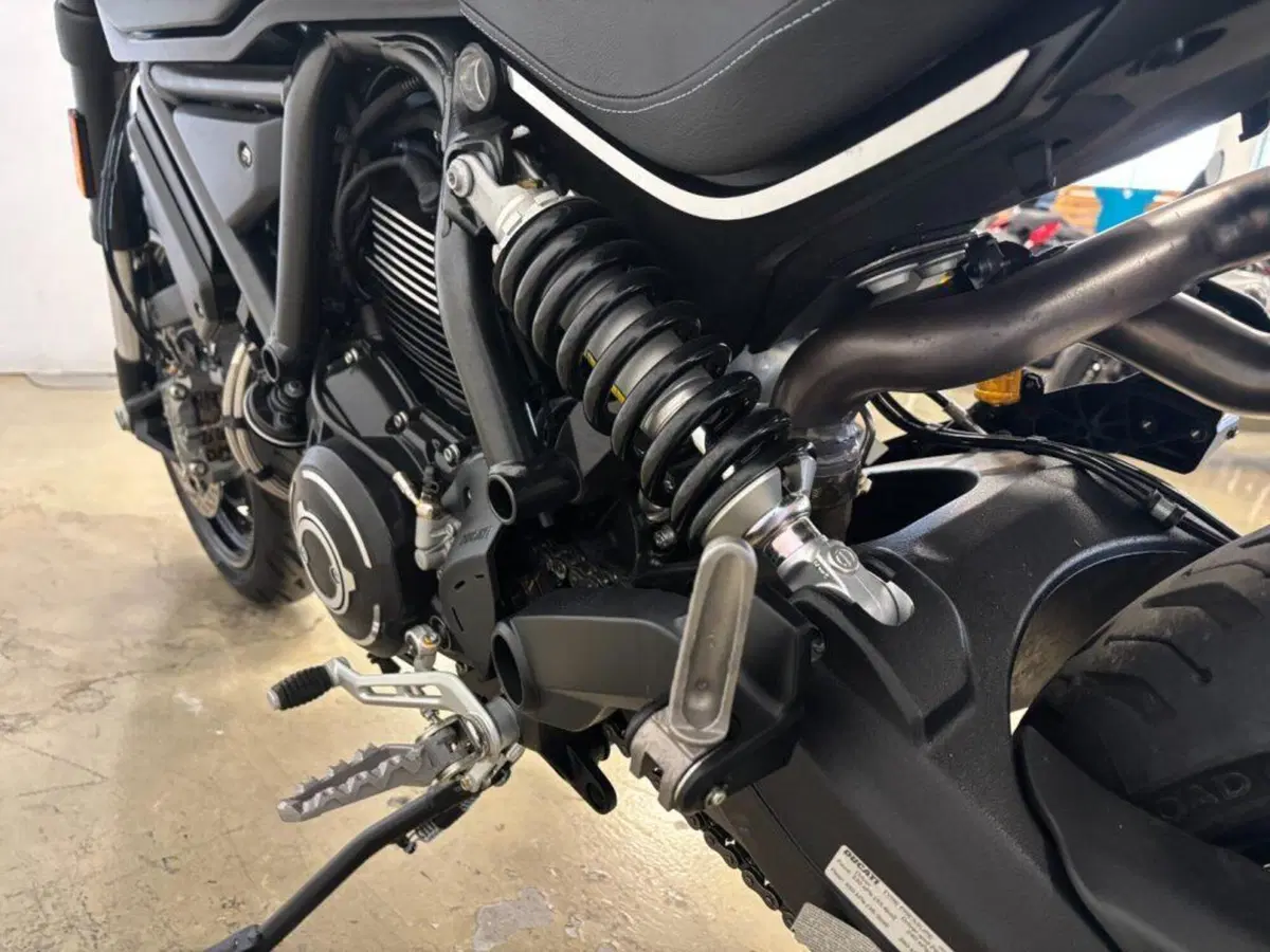 Ducati Scrambler 1100 (2018 - 20) (7)