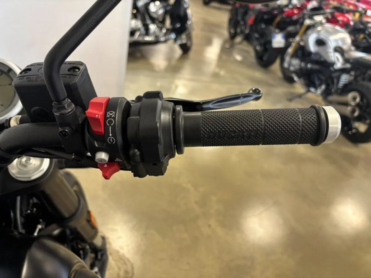 Ducati Scrambler 1100 (2018 - 20) (9)