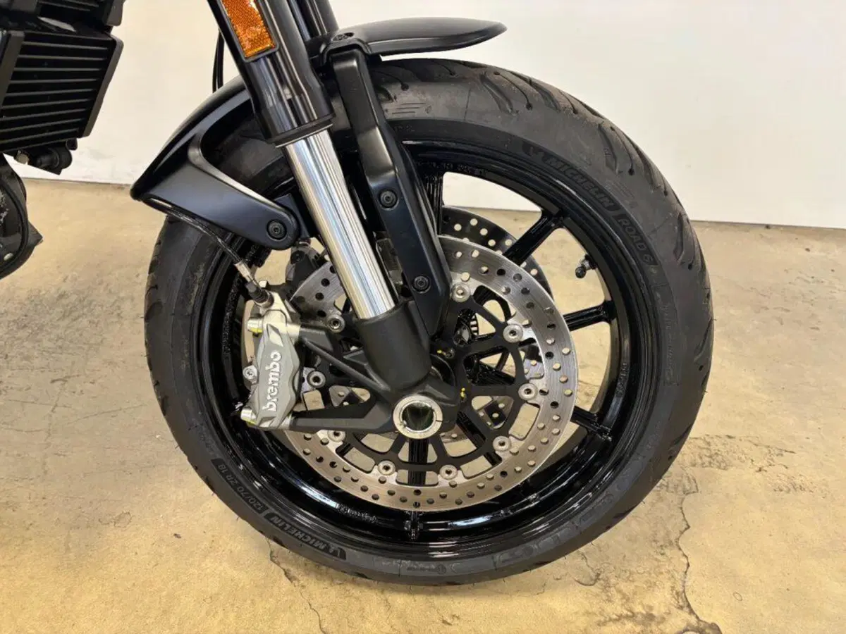 Ducati Scrambler 1100 (2018 - 20) (6)
