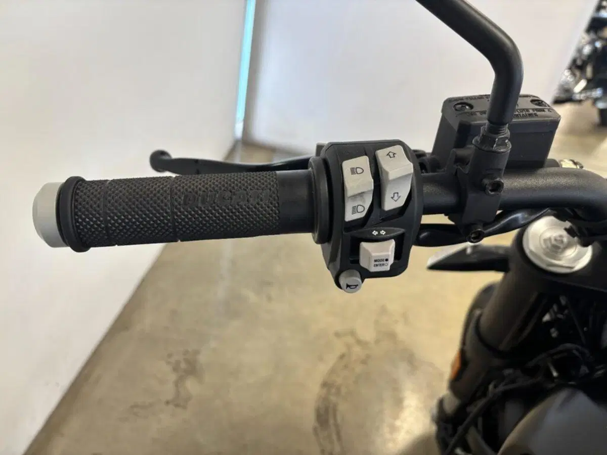 Ducati Scrambler 1100 (2018 - 20) (8)
