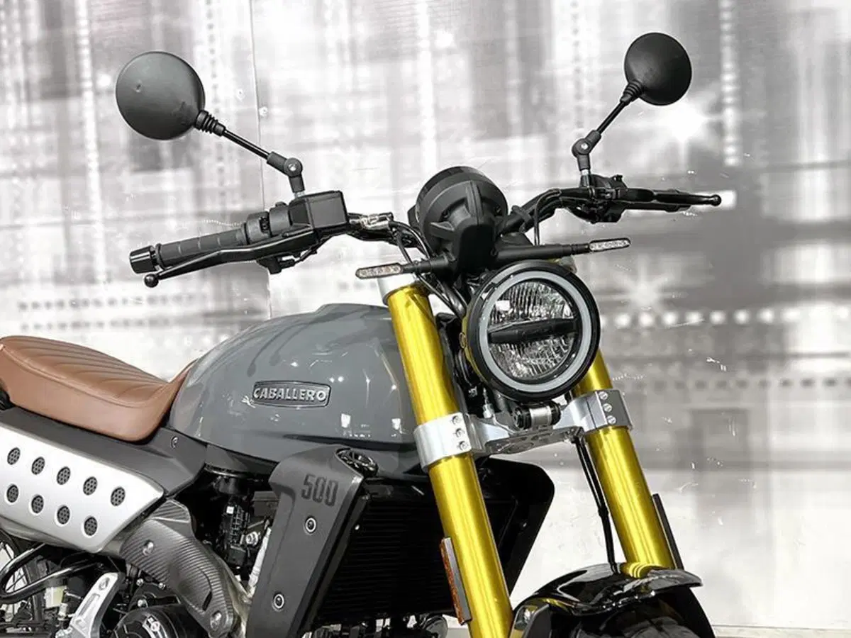 Fantic Motor Caballero 500 Deluxe (2025 - 26) (9)
